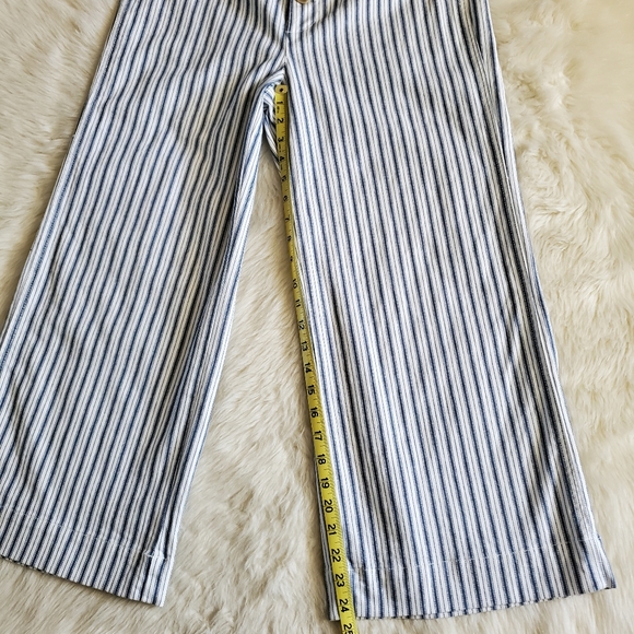 Madewell Emmett Wide Leg Crop Pants in Stripe Button Front Edition Size 29 - Picture 14 of 15